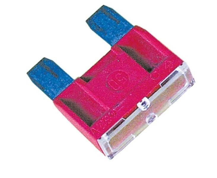 Maxi fuse 100A (1 piece)