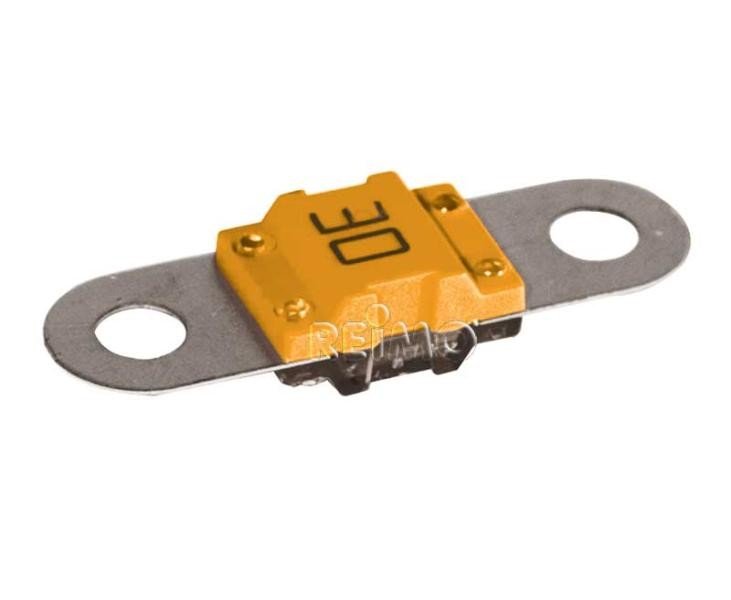 Fuse BF1, 30A