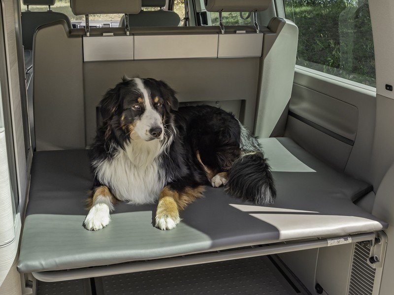 KOERA PADI - Pagasitugi VW California jaoks