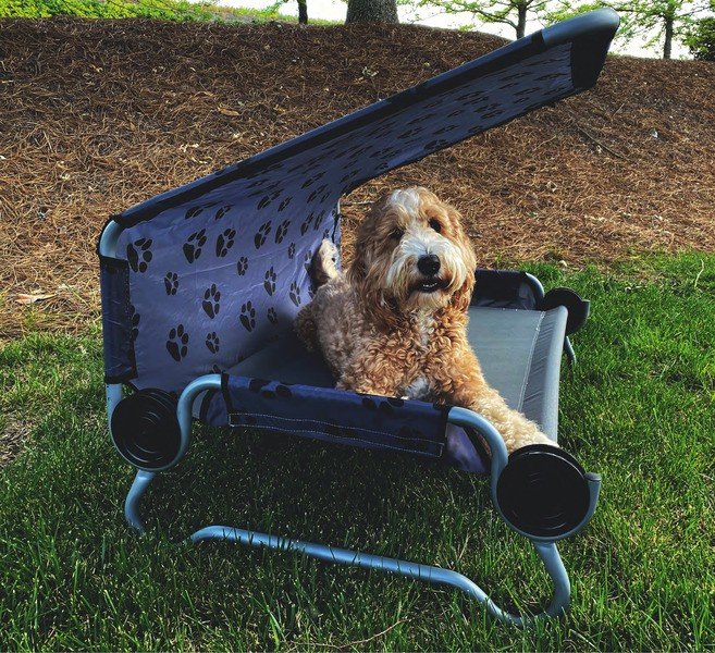 Koeravoodi DOG-BED, väike, katusega, kandevõime kuni 91 kg, pakend 84x43x10 cm