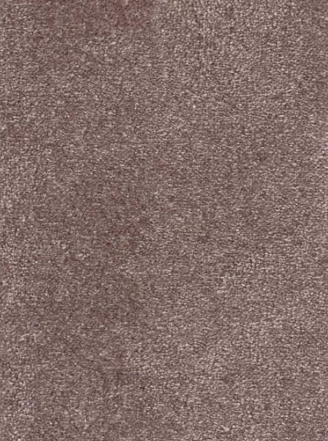 Veluurvaip Eden Linen 400x__cm
