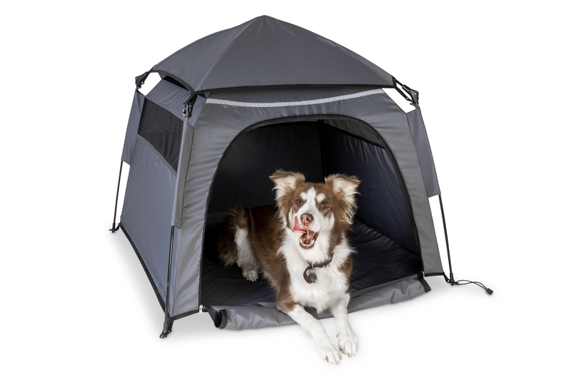 Hundezelt Schnellaufbau